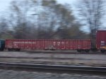 CP 355139